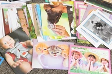 *SEE VIDEO* LOT OF 100+ Northern Exposure GREETING CARDS CAT DOG BABY CUTE FUNNY