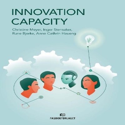 Innovation Capacity Anne Cathrin Haueng Paperback Fagbokforlaget
