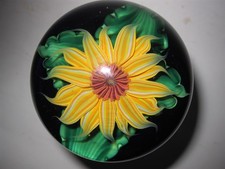 paperweight #110 Daniel Salazar Lundberg Studio 1983 yellow sunflower on dk blue