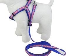 Choke Free Dog Pet Cat Nylon Adjustable Harness and Leash for Walking,Small