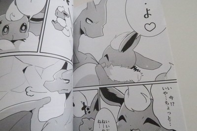 Doujinshi Pokemon Charizard X Flareon A5 18pages Candy Drop Sukisyugi Kemono Ebay