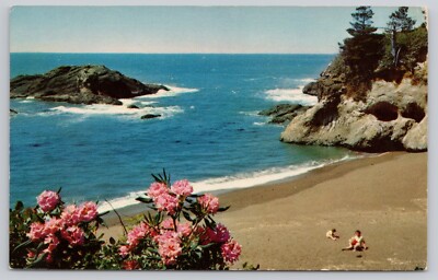 Post Card Pacific Ocean Seacoast Portland Oregon-Beautiful Ocean View M56