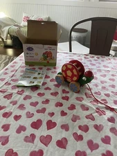 Win Win Toys Rolling Tortoise With Bell