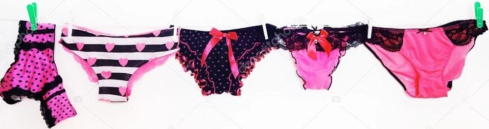 Panties Lingerie Ambrielle Animal Print Organic Cotton Thong 1X  Adult Gift - Image 4 of 4