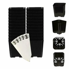 2" Square Black Plastic Plant Nursery Pots Seed Starter, 24 Pack + THCity Stakes