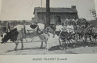Vintage Black Americana Postcard Rapid Transit (Limited)  The Tourist Print — photo 2