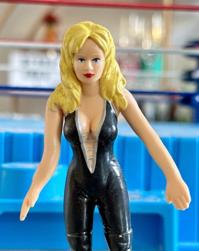 1998 SABLE / RENA MERO WWF Wrestling Figure Bend-E...