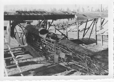 Foto REPRO 15x10 Flugzeug Fokker Fokker-6