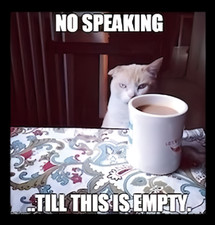No Speaking Till This Is Empty Coffee Cat  - Refrigerator Fridge MAGNET