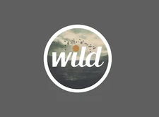 Wild Sticker Nature Birds Waterproof Outdoor Travel Gift NEW