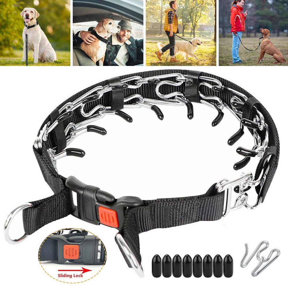Covered pinch collar for dogs 2025