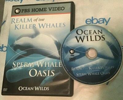 Ocean Wilds: Realm of the Killer Whales |Sperm Whale Oasis (DVD PBS) 
