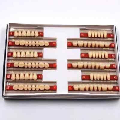 Dental 3-Set Acrylic Resin Denture Teeth – VITA Color A2, Upper & Lower, 84 Pieces