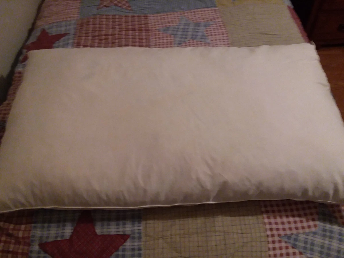Feather Pillow Feathers Duck Down Stuffing 20