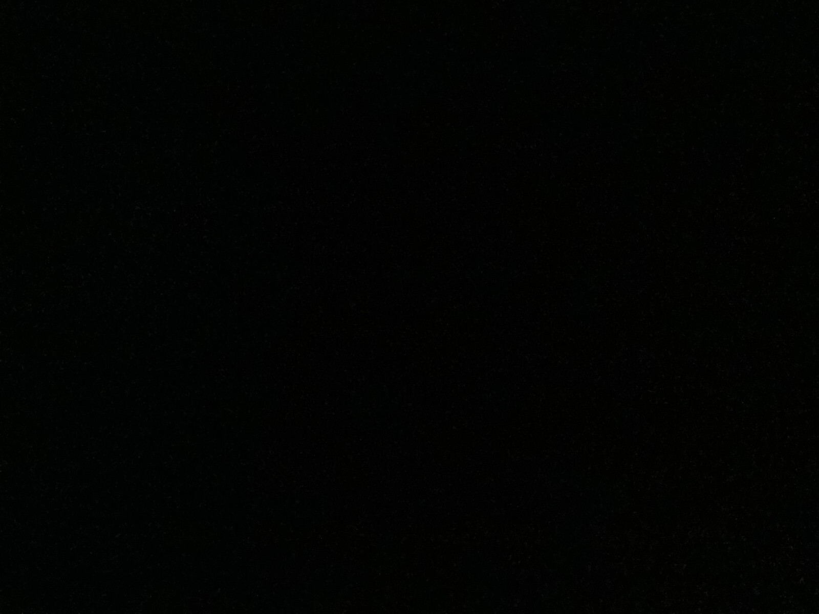 Bild 12 von 12