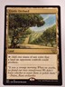 Exotic Orchard - Commander: Kamigawa Neon Dynasty - Magic the Gathering MTG Nice