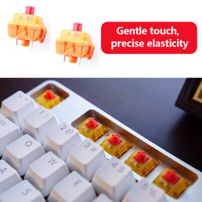 Hintergrundbeleuchtete Tastatur Tactile Force Schalter von TTC Gold Rot V2