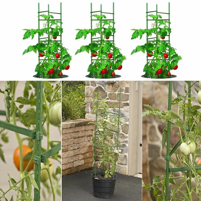 Garden Stakes Climbing Plants Supports Pole Rustfree Plant Stakes