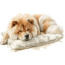 3 adesivi Chow Chow adesivi auto 9 x 9 cm cane cucciolo leone lingua blu moti...