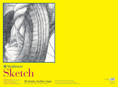 300 Series Sketch Paper Pad for Drawing, Artists, and Students - 22 X 30 Inches,