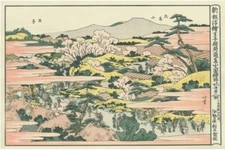 Ukiyo-e Reprint Katsushika Hokusai Shinban Ukie Ouji Inari Asukazan no Zu Art