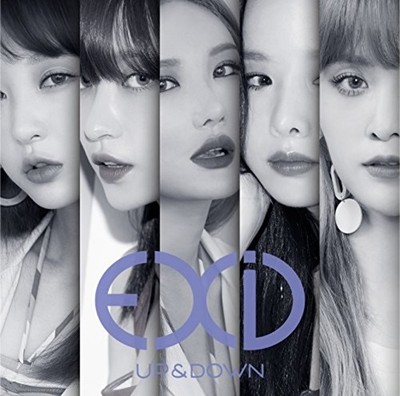 EXID  Debut Single [UP&DOWN] Type B (CD + DVD + Booklet) Limited Edition F/S NEW
