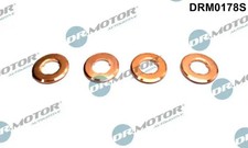 Dichtungssatz für Einspritzdüse DRM0178S Dr.Motor Automotive für CITROËN JAGUAR