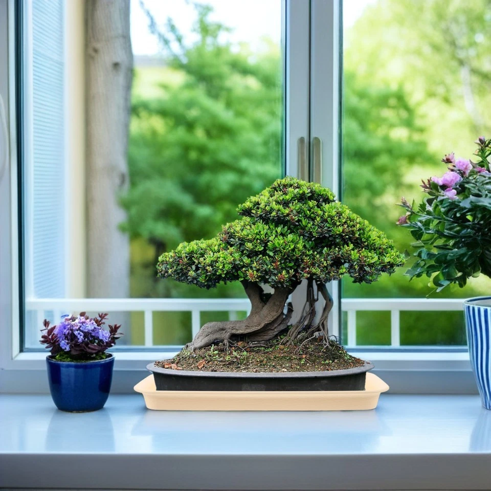  Rectangular Plastic Plant Saucer: 12in Heavy Duty Plant Drip Tray for Planters - Image 3 of 4