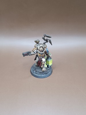 Warhammer 40k Primaris Apothecary Biologis bemalt Ultramarines Grimdark Style 