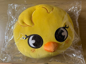 Skzoo Cushion | eBay