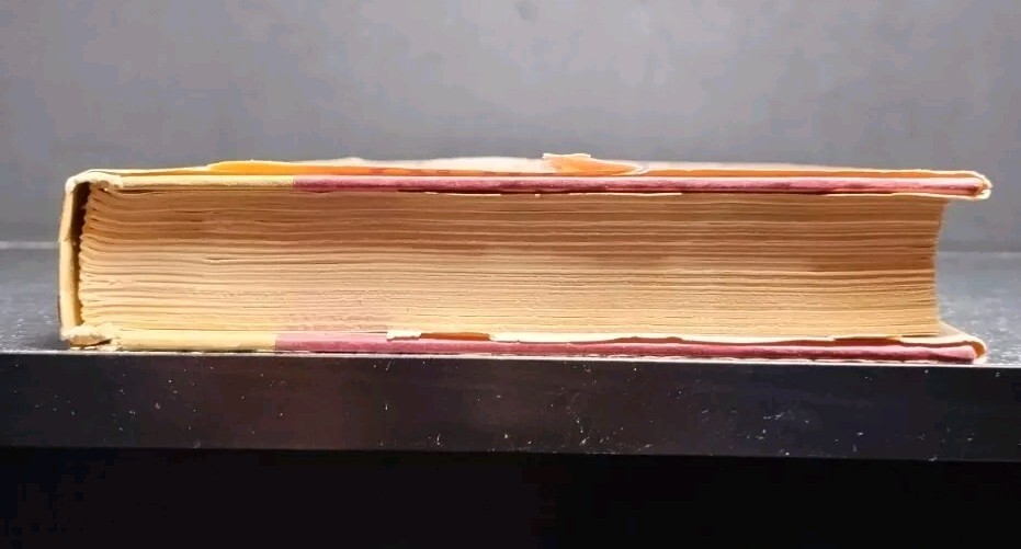 Picture 4 of 17