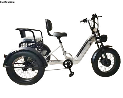 Electric Snow Tricycle 48V Cargo/Utility/Manned E-Trike 150kg load  Passenger UK