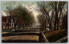 Red Wing Minnesota~West 4th Street~Elm Shaded Homes~Dirt Road~1908 Handcolored