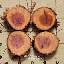 Aromatic Red Cedar 6 1 " - 2 " Diameter  " Thick Live Edge Wood Rounds Natural