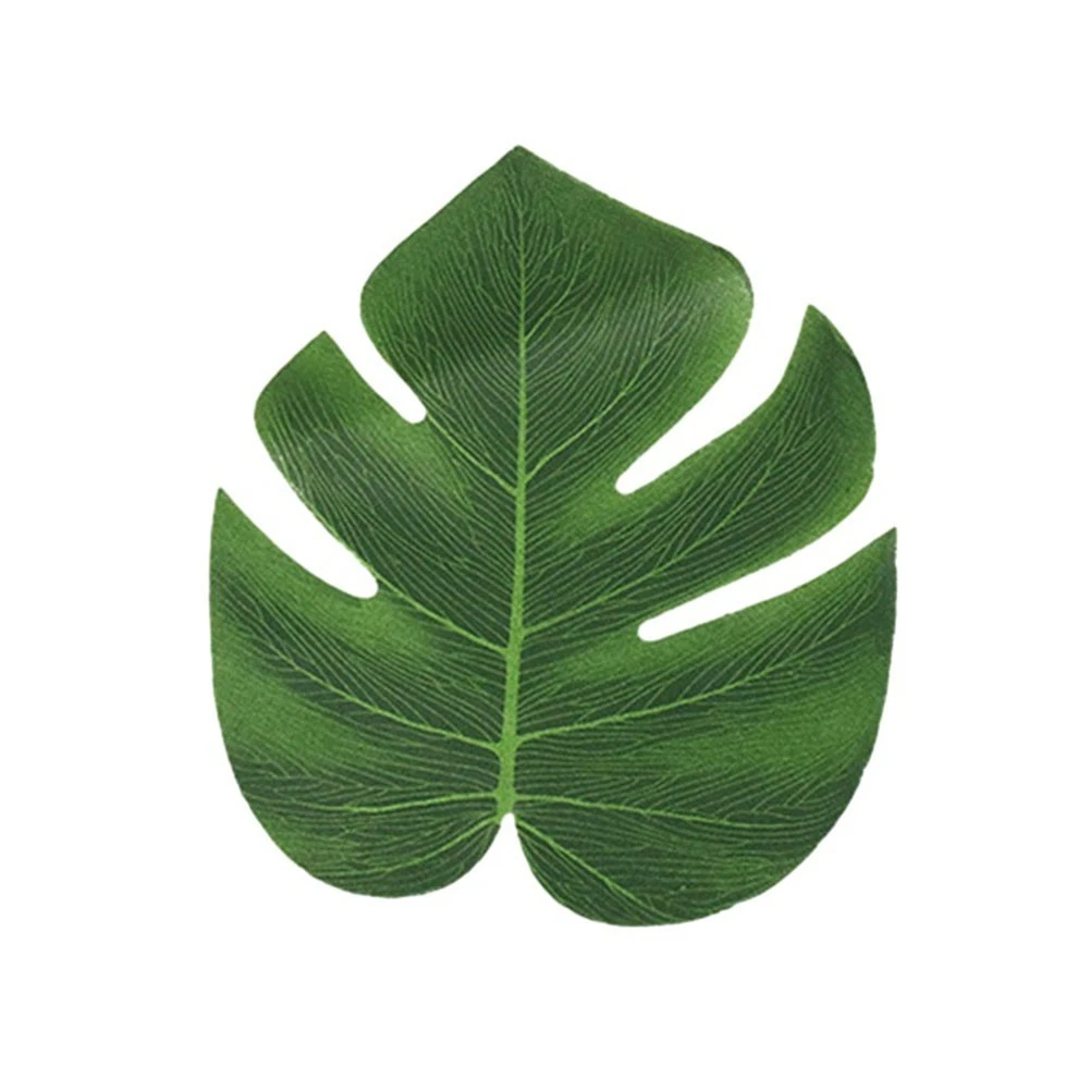 philodendron glad hands mature Philodendron Glad Hands – Lost in the Forrest