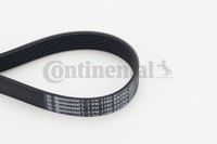 7PK1190 Extra Continental Ctam Keilrippenriemen FüR Volvo