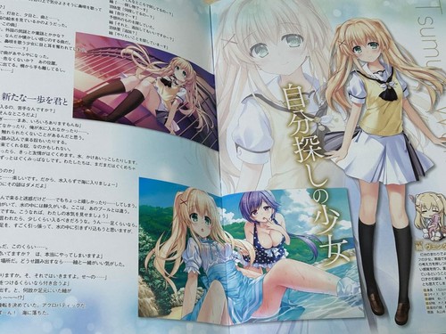 KADOKAWA Dengeki G's Magazine Summer Pockets PLELUDE BOOK Official Japan +TN - Picture 11 of 11