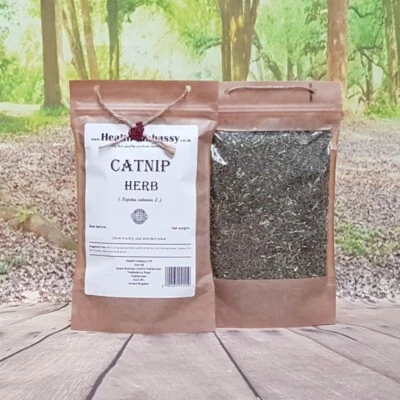 Catnip Herb Tea ( Nepeta cataria ) - Health Embassy 100% Natural Herbal Tea