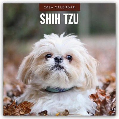 Shih Tzu 2026 - 16-Monatskalender | Red Robin Publishing Ltd | Deutsch | 2026