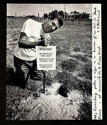 1986 Broward Co Florida Audubon Society Member Owl Burrowing Nest Press Photo