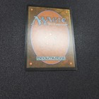 Foto 12 di 13