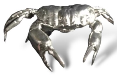 Seletti ''Heilige Krabbe'' Wunderkammer BRANDNEU UVP 160,00 £