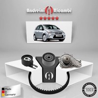 Set Vertrieb+Wasserpumpe Ford C-Max 1.6 Tdci 66KW 90CV 2010->
