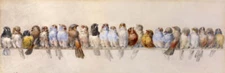 A Perch of Birds, ca. 1880s by Hector Giacomelli Fine Art Print Wildlife 8x24