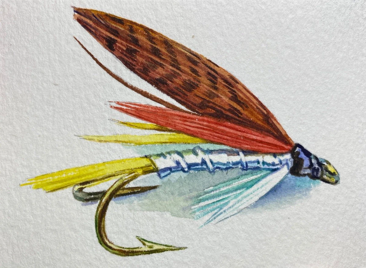 Watercolor Painting Fly Fishing Lure Bait Fish Hook Colored Feathers ACEO No.17