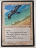Mesa Falcon (B) - Homelands - Magic the Gathering MTG Nice!