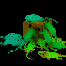 Glow in the Dark Lizard Set,12 Pack Stretchy Realistic Reptile Toy Set for for K