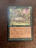 Carnivorous Plant - Korean NM, Korean MTG Foreign Black Border 4th Edition (FBB)