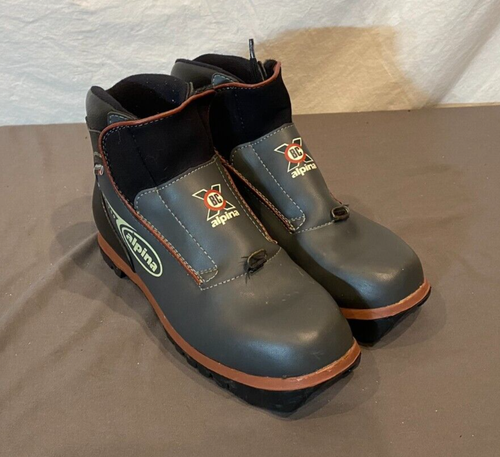 alpina bc ski boots