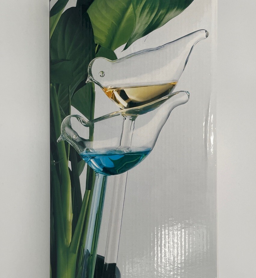 S Clear Glass Self Watering Inserts Set Of 2 By Amici